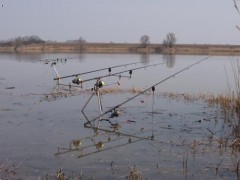 Kliknutím fotografii zvětšíte Madarsko 2005