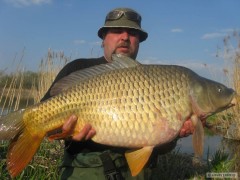 89cm 13.90kg