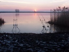 Kliknutím fotografii zvětšíte Madarsko 2005