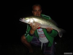 rieka 2012