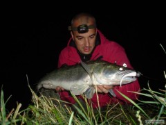 riecny fe�ak