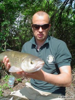 dunaj