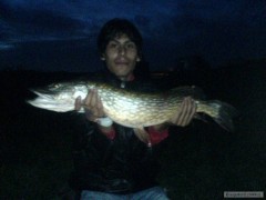 �tika 80cm