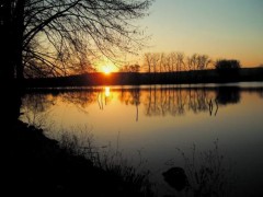 Kliknutím fotografii zvětšíte Rybnik Karásek