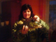 Kliknutím fotografii zvětšíte Okoun 33cm