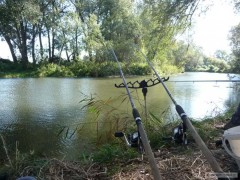shimano beast master BX light-medium multi feeder