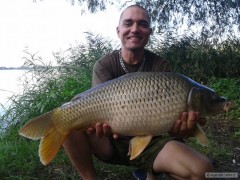 karp 73