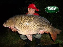 Kliknutím fotografii zvětšíte ppcarp - Petr Bařina