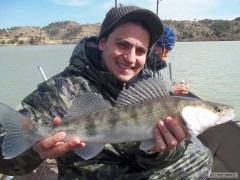 Rio Ebro