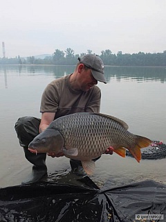 Kliknutím fotografii zvětšíte kapor 12kg