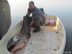 Kliknutím fotografii zvětšíte 210cm