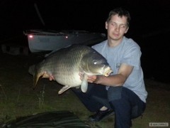 15,5 Kg