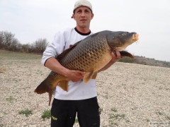 Kliknutím fotografii zvětšíte kapr ebro 1m18kg