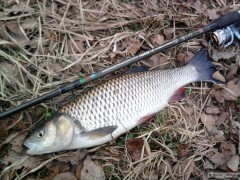 Blanice 3