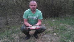 Kliknutím fotografii zvětšíte Okoun říční 37 cm