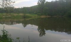 Kliknutím fotografii zvětšíte Konojedy- oblíbene místo.