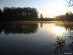 Kliknutím fotografii zvětšíte Pod farou