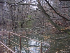 Kliknutím fotografii zvětšíte velká voda
