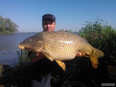 kapr 93cm 16,3 kg 