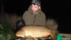 Kapr lysec 10,5kg