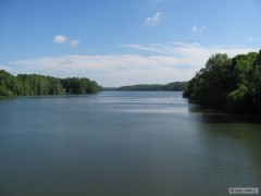 Kliknutím fotografii zvětšíte přítok Těrlice