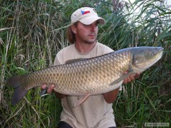 Kliknutím fotografii zvětšíte amur 94cm 11,2kg