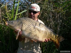 Kliknutím fotografii zvětšíte kapr 12,5kg