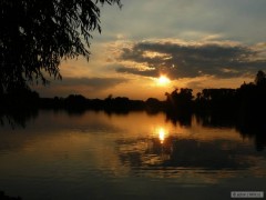 P���ovice
