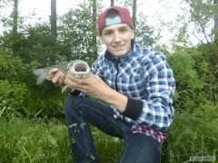 jel��k 