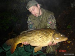 Kliknutím fotografii zvětšíte nemilka 2012