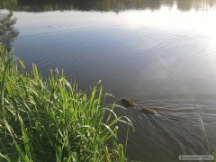 Kliknutím fotografii zvětšíte