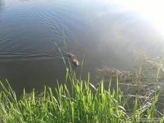 Kliknutím fotografii zvětšíte
