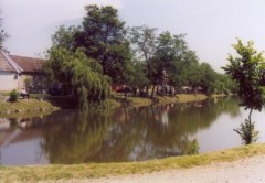 Kliknutím fotografii zvětšíte náš rybník