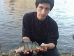 Kliknutím fotografii zvětšíte Okounek Poděbrady