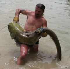 Kliknutím fotografii zvětšíte ebro sumec 200cm