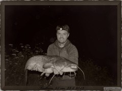 Kliknutím fotografii zvětšíte Sumec 98 cm