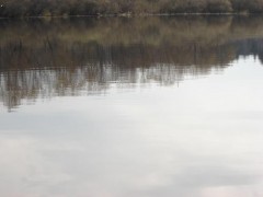 Kliknutím fotografii zvětšíte čekání na záběr