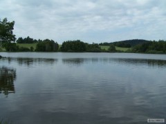 Kliknutím fotografii zvětšíte Plodovi rybnik Rasna