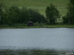 Kliknutím fotografii zvětšíte Plodovi rybnik Rasna