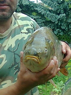 Kliknutím fotografii zvětšíte pěknej kousek 70 cm