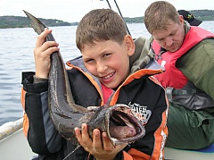 Kliknutím fotografii zvětšíte Norsko 2011