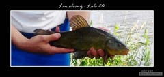 Kliknutím fotografii zvětšíte A je venku z vody