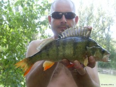Kliknutím fotografii zvětšíte Ostriez 35 cm rameno Dunaja