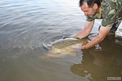 Kliknutím fotografii zvětšíte Šupináč 83 cm a 13 kg