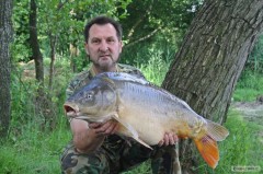 Kliknutím fotografii zvětšíte Lysec 82 cm a 12,40 kg