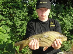 KAPR 43CM