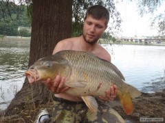 Kliknutím fotografii zvětšíte Kapr 92 cm 13 Kg