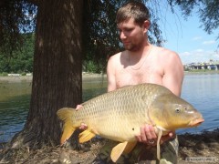 Kliknutím fotografii zvětšíte Kapr 82 cm 11 Kg