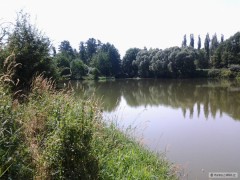 Kliknutím fotografii zvětšíte Revir Bilka 431055
