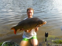 Kapr 12 kg